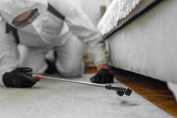 Professional Bed Bug Control technician working in St. Ann, MO